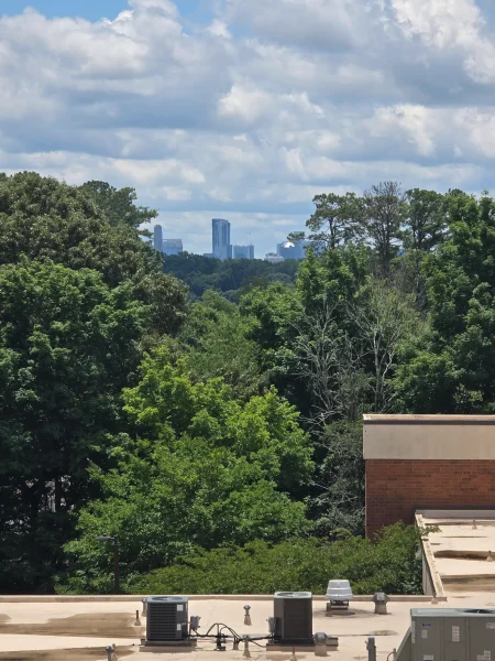 Rooftop with several HVAC units in the foreground, dense trees, and a distant city skyline on the horizon under a partly cloudy sky.