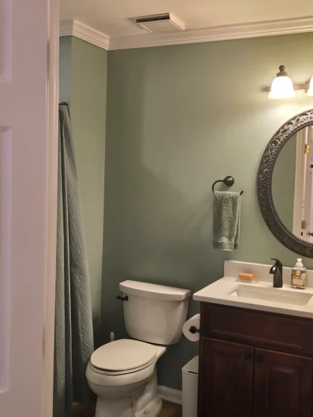Green-walled bathroom with a white toilet, dark wood vanity, ornate round mirror, and a teal towel hanging by the sink.