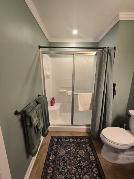 Bathroom with green walls, a glass shower door, and a dark metal rod; teal towels hang on a rack beside the shower.