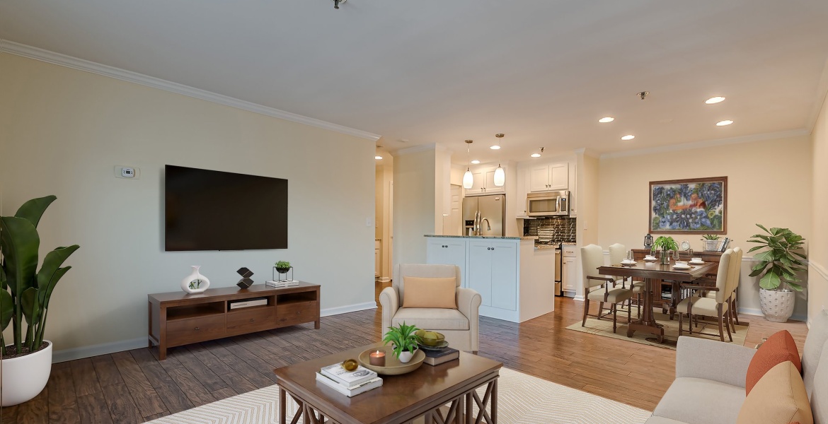 300 Johnson Ferry Rd NE, Sandy Springs, Georgia 30328, ,Condo,For Lease,Johnson Ferry Rd NE,1146