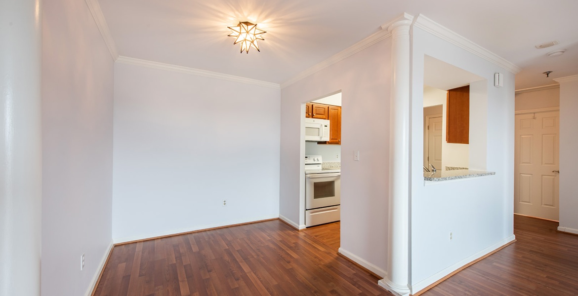 300 Johnson Ferry Rd. NE, Sandy Springs, Georgia 30328, ,Condo,For Sale,Mount Vernon Towers,Johnson Ferry Rd. NE,9,1154