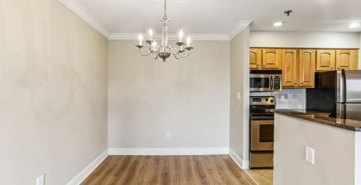 300 Johnson Ferry Rd. NE, Sandy Springs, Georgia 30328, ,Condo,For Sale,Mount Vernon Towers,Johnson Ferry Rd. NE,9,1159