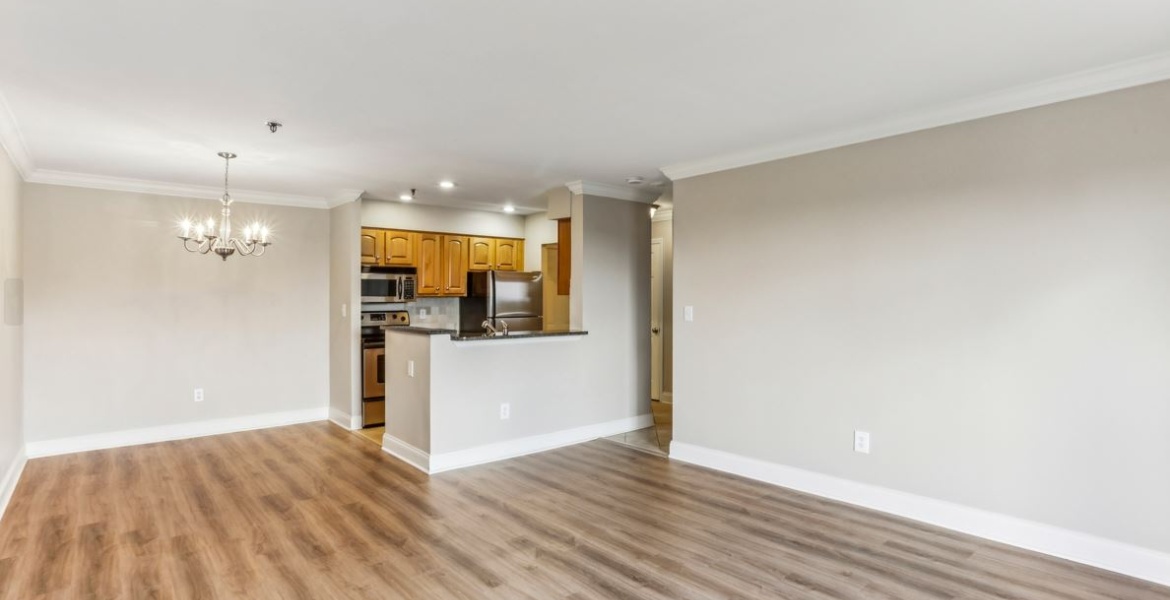 300 Johnson Ferry Rd. NE, Sandy Springs, Georgia 30328, ,Condo,For Sale,Mount Vernon Towers,Johnson Ferry Rd. NE,9,1159