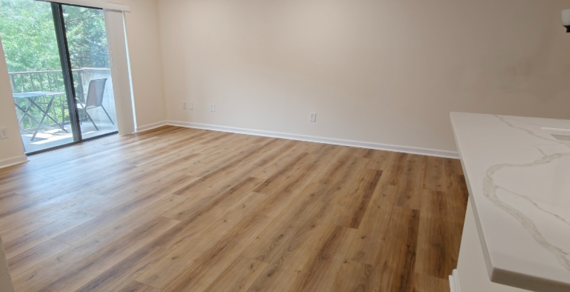 300 Johnson Ferry Rd. NE, Sandy Springs, Georgia 30328, ,Condo,For Lease,Mount Vernon Towers,Johnson Ferry Rd. NE,9,1162